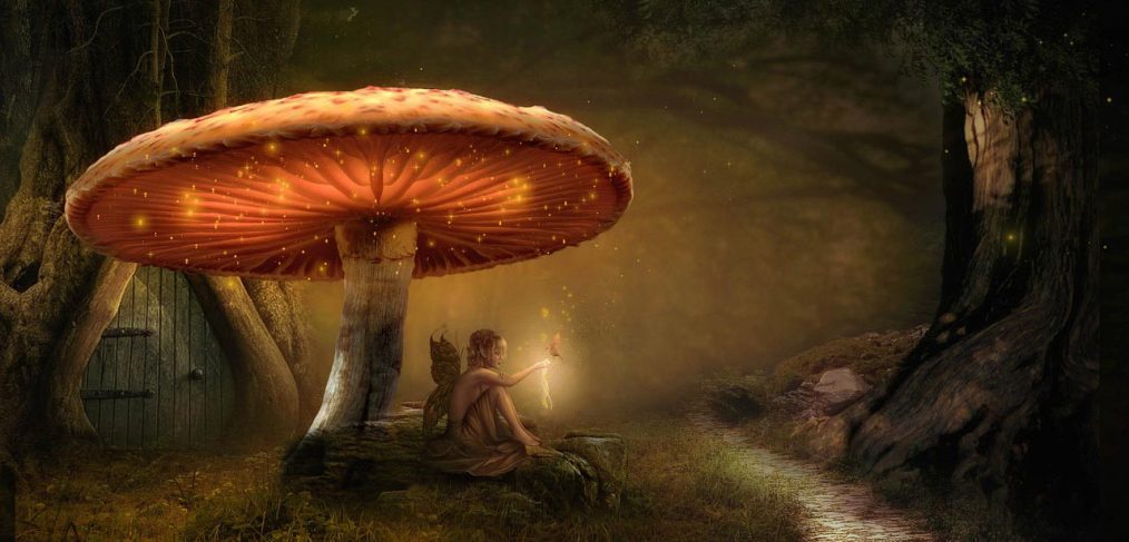Foresta fatata con una fatina seduta sotto un fungo. Vuoi vivere momenti positivi? Creali.