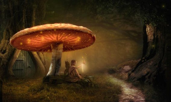 Foresta fatata con una fatina seduta sotto un fungo. Vuoi vivere momenti positivi? Creali.